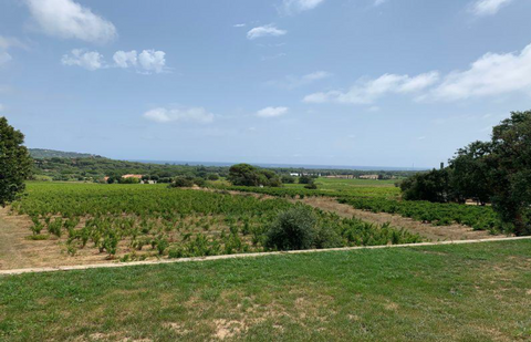 House for sale Ramatuelle-00009VM-EN