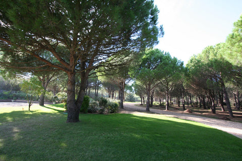 Pampelonne-Plage à pieds-5002VM-FR