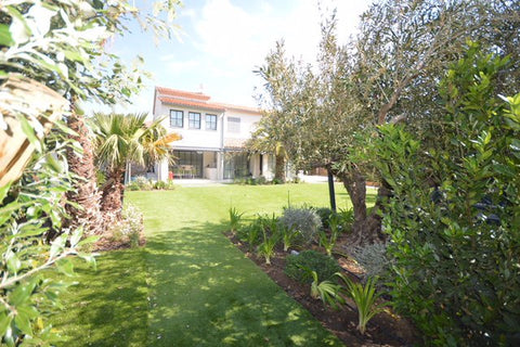 ST TROPEZ-PORT-1264004-EN
