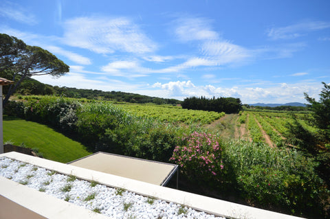 Salins-les vignes-2146824-FR