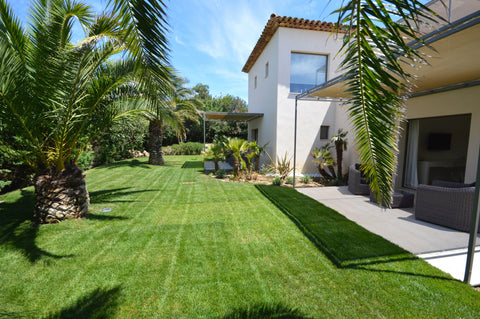 Salins-les vignes-2146824-FR