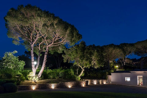 ST TROPEZ-CANOUBIERS BAY-3002152-EN