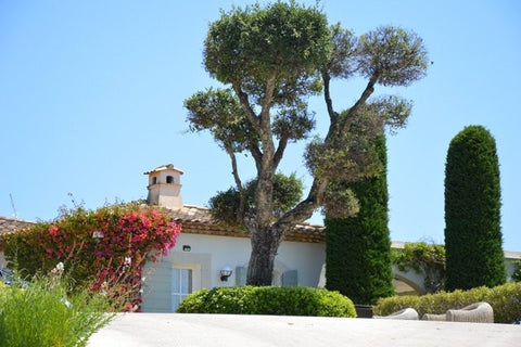 PAMPELONNE-RAMATUELLE-3967594-EN-CLIENT