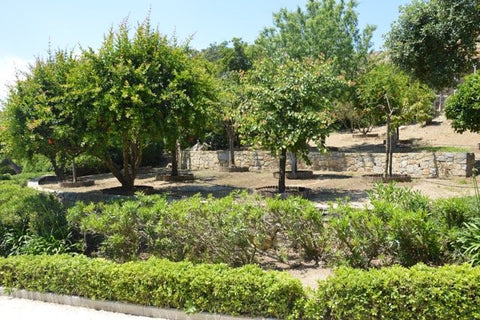 PAMPELONNE-RAMATUELLE-3967594-EN-CLIENT