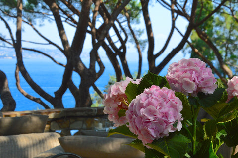 ST TROPEZ VILLAGE-4303090-EN-CLIENT