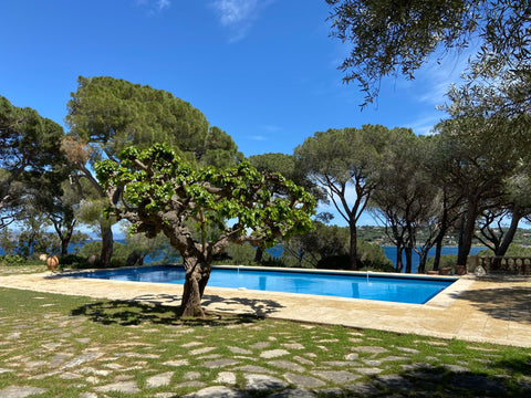 PARKS SAINT TROPEZ-3913171-EN-CLIENT
