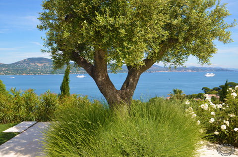 Golfe StTropez-vue mer-0703861V-FR - CLIENT