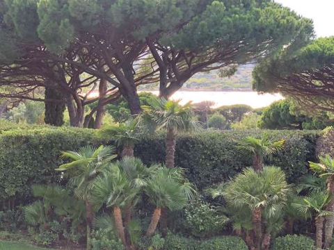Parks of St Tropez with sea view - 170811VM-EN