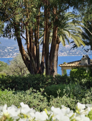 House for sale in the Parks of St Tropez - 170813VSLM-EN